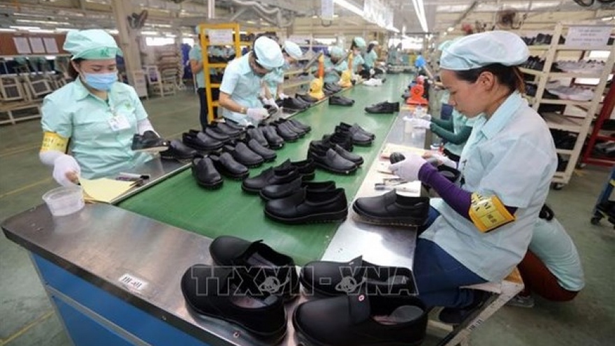 Vietnamese economy to perform well: AMRO